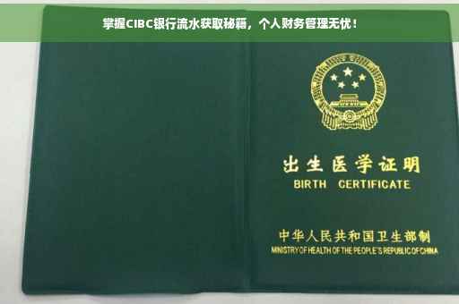 掌握CIBC银行流水获取秘籍，个人财务管理无忧！