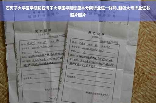 石河子大学医学院和石河子大学医学院塔里木分院毕业证一样吗,新疆大专毕业证书照片图片 石河子大学医学院和石河子大学医学院塔里木分院毕业证一样吗,新疆大专毕业证书照片图片