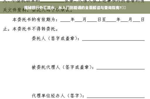 揭秘银行外汇流水，从入门到精通的全面解读与查询指南?⚡️