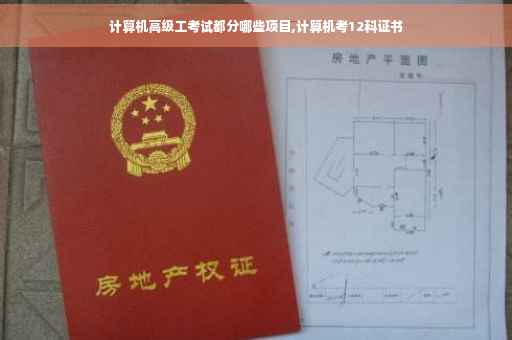 计算机高级工考试都分哪些项目,计算机考12科证书
