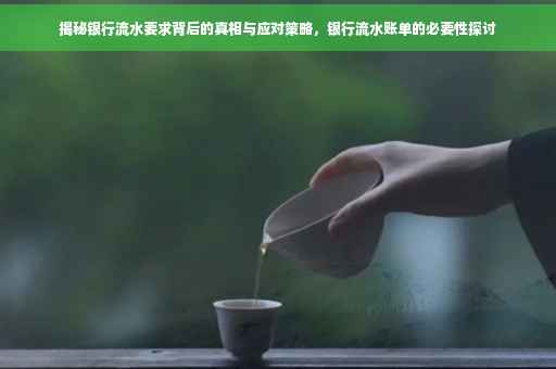 揭秘银行流水要求背后的真相与应对策略，银行流水账单的必要性探讨