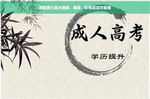 洛阳银行流水揭秘，真相、影响及应对策略