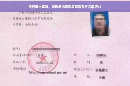 银行流水解析，进项与出项深度解读及含义解析??