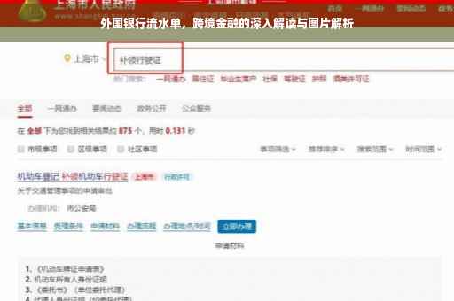 外国银行流水单，跨境金融的深入解读与图片解析