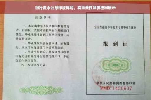 银行流水公章样板详解，其重要性及样板图展示
