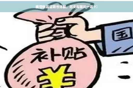 携带物品证明书详解，范文与图片一览 ?✨
