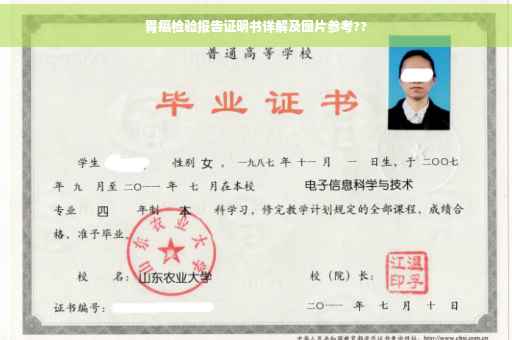 胃癌检验报告证明书详解及图片参考??