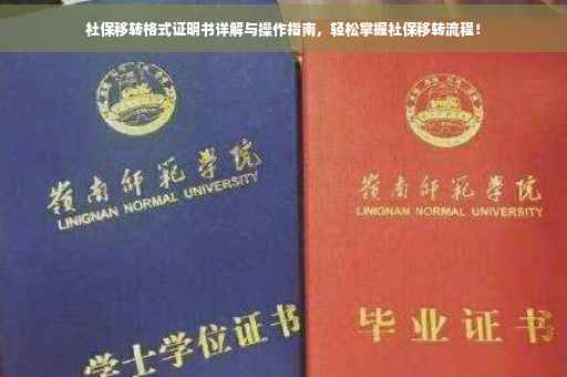 社保移转格式证明书详解与操作指南，轻松掌握社保移转流程！
