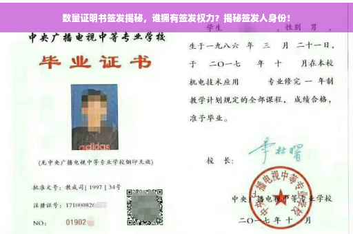 数量证明书签发揭秘，谁拥有签发权力？揭秘签发人身份！