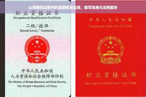 公司确权证明书的重要性及应用，撰写指南与实例解析