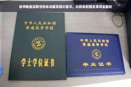 休学疾病证明书样本详解及图片展示，从样本到相关事项全解析