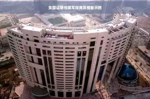 失踪证明书撰写指南及模板示例