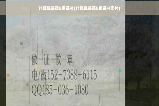 计算机英语b级证书(计算机英语b级证书图片)