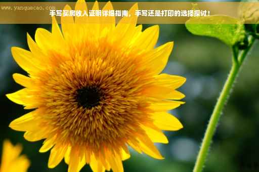 手写买房收入证明详细指南，手写还是打印的选择探讨！