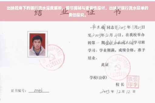 出纳视角下的银行流水深度解析，细节揭秘与重要性探讨，出纳对银行流水回单的责任探究。