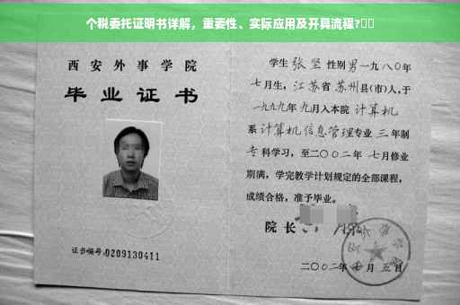个税委托证明书详解，重要性、实际应用及开具流程?⚡️