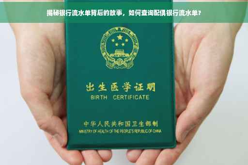揭秘银行流水单背后的故事，如何查询配偶银行流水单？