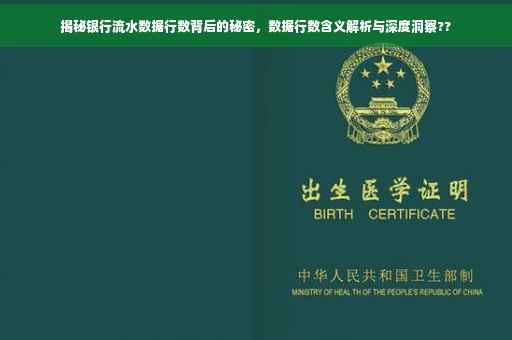 揭秘银行流水数据行数背后的秘密，数据行数含义解析与深度洞察??