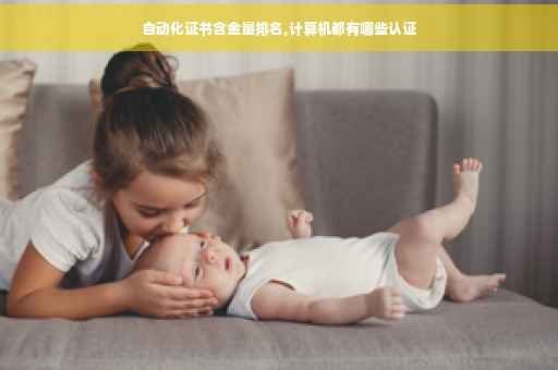 自动化证书含金量排名,计算机都有哪些认证