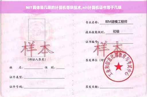 NIT具体是几级的计算机等级技术,nit计算机证书等于几级