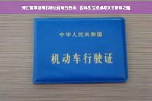死亡医学证明书地址背后的故事，探寻生命终点与文书错误之谜