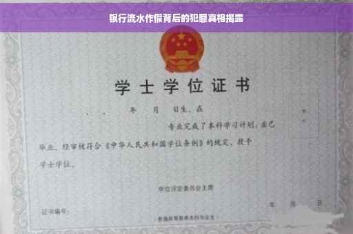 银行流水作假背后的犯罪真相揭露