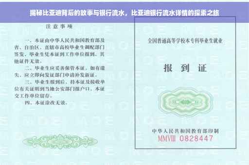 揭秘比亚迪背后的故事与银行流水，比亚迪银行流水详情的探索之旅