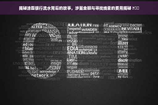 揭秘涂磊银行流水背后的故事，涉案金额与寻找线索的费用揭秘 ?⚡️
