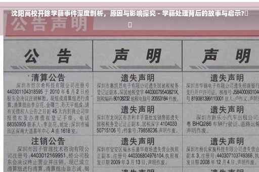 沈阳高校开除学籍事件深度剖析，原因与影响探究 - 学籍处理背后的故事与启示?⚡️
