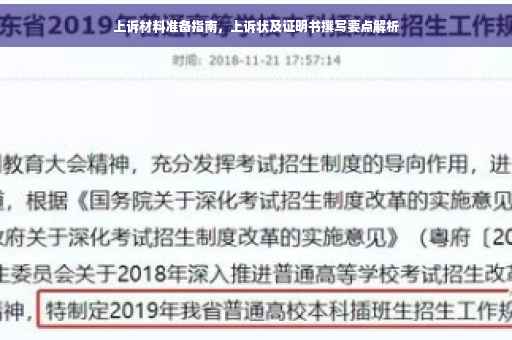 上诉材料准备指南，上诉状及证明书撰写要点解析