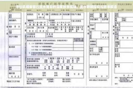 洛杉矶租客银行流水背后的深度故事揭秘，流水数额探究与故事解读