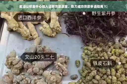 解读公积金中心收入证明贷款政策，助力成功贷款申请指南 ?✨