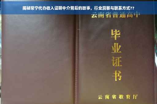 揭秘常宁代办收入证明中介背后的故事，行业洞察与联系方式??