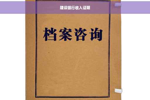 建设银行收入证明