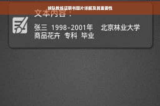 球队教练证明书图片详解及其重要性