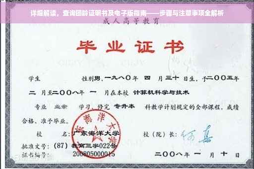 详细解读，查询团龄证明书及电子版指南——步骤与注意事项全解析