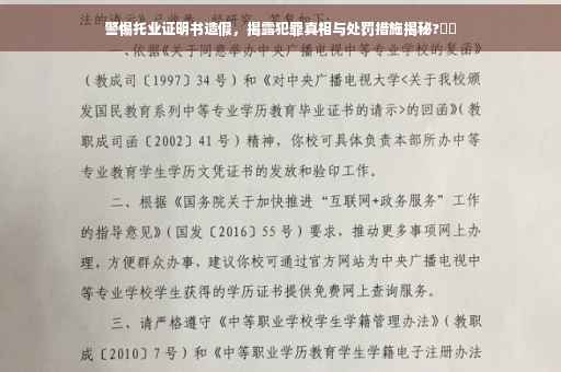 警惕托业证明书造假，揭露犯罪真相与处罚措施揭秘?⚠️