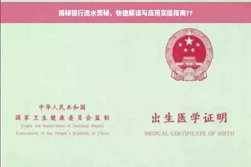 揭秘银行流水奥秘，快捷解读与应用实操指南??