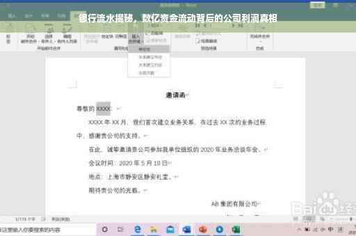 银行流水揭秘，数亿资金流动背后的公司利润真相