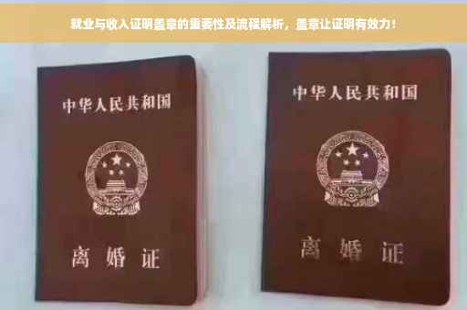 就业与收入证明盖章的重要性及流程解析，盖章让证明有效力！