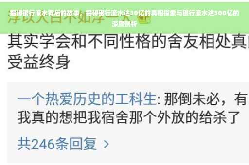 揭秘银行流水背后的故事，揭秘银行流水达30亿的真相探索与银行流水达300亿的深度剖析