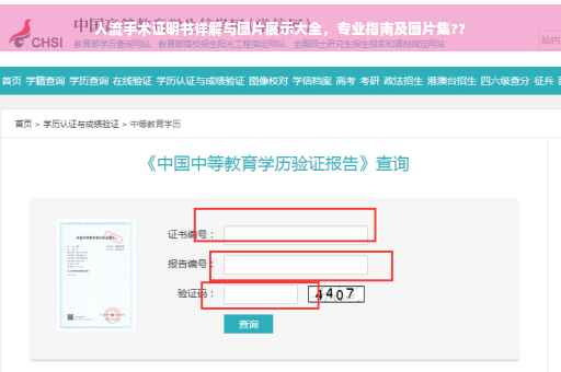 人流手术证明书详解与图片展示大全，专业指南及图片集??