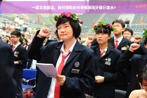 一篇文章解读，如何借助软件看懂西班牙银行流水？
