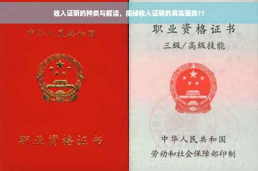 收入证明的种类与解读，揭秘收入证明的真实面貌??