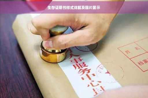 生存证明书样式详解及图片展示