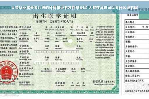 大专毕业需要考几级的计算机证书才能毕业呢-大专在武汉可以考什么证书呢