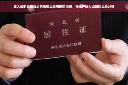 收入证明弄低背后的法律风险与道德困境，低保户收入证明的风险分析