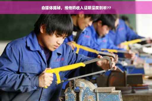 自媒体揭秘，维他奶收入证明深度剖析??