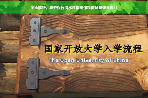 全面解析，税务银行流水注销操作指南及查询步骤??