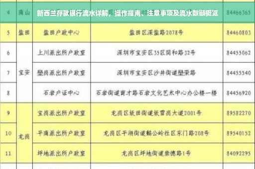 新西兰存款银行流水详解，操作指南、注意事项及流水数额概览